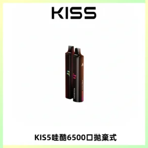 KIS5WAGOO哇酷6500口拋棄式 | 自由混搭雙口味 | 雙芯組合