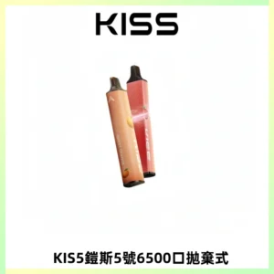 KIS5鎧斯5號一次性6500口磁吸式拋棄式電子煙#自由混搭#
